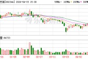 海宁皮城：公司及控股子公司无逾期担保