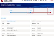 武汉新芯终止IPO：以前是长江存储子公司无实际控制人独立性被问询！本来拟募资 48 亿！分红了 5 亿！