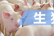 非瘟以来两轮猪周期回顾
