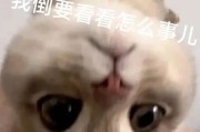 负债榜 | 8家湘股濒临资不抵债，威领股份偿债风险高企
