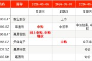 “五一”后首周3只新股申购，比亚迪小伙伴来了