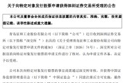 张雪机车“带火”的这家青岛企业，7.04亿元定增获批