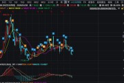 销量全球第一的石头科技，股价又接近新低了