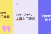 轻松年入百万？代装OpenClaw风靡：万元安装有人下单，专家直呼“危险”
