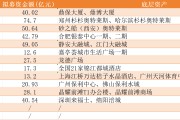 商业不动产REITs申报火热，14只产品拟募资超417亿元，监管问询关注这几大问题