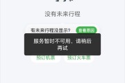 航旅纵横APP“崩了”？有人被卡登机口，客服：正在维护中