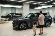 “五一”车市观察：家庭出行需求增长，补能、智驾成消费“新宠”