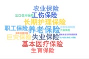 2026政府工作报告13次提及10个保险，大增！首提这两个，有这些新变化……