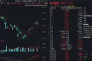 中芯国际继续大涨逾7%，规模最大港股通信息技术ETF（159131）强势涨超2%，资金加速申购3300万份