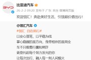 比亚迪第四款子品牌“领汇汽车”正式官宣亮相
