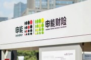 申能财险再成被执行人，累计执行标的超52万元