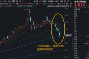 超跌反弹？华宝基金有色ETF（159876）7连阴后，反弹1%！低位布局时刻？云南锗业涨停！