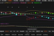 嘉应制药关联方资金占用2.2亿被罚，投资者可索赔