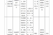 山西鼎铭保险代理被罚12.3万元：财务数据不真实等