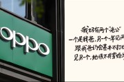 “捂嘴式道歉”有用吗？ OPPO母亲节玩梗“我妈有两个老公”，75%网友称价值观低俗团队不专业|BUG