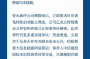 港股优乐赛共享IPO期间7300万转账未披露