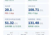 中芯国际：建厂、借钱、扩产