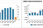 不超过200亿元！300687，开展算力服务器融资租赁业务