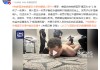 视频|特朗普发布晚宴安全事件嫌疑人照片