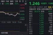 回调日，这一方向批量新高！景气强支撑，日内巨振6.87%，华宝基金科创芯片ETF收低1.66%