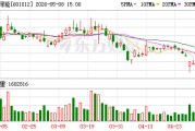 隆基绿能：公司未对控股股东和实际控制人及其关联人提供担保