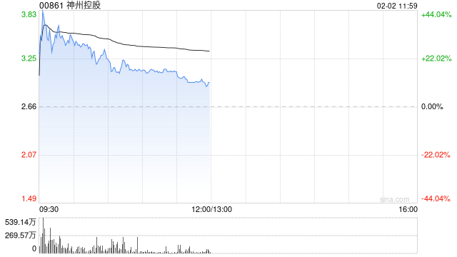 神州控股早盘一度涨近50% 附属神州信息预计年度利润实现扭亏为盈
