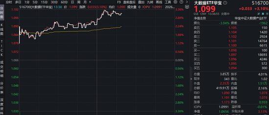 AI应用端大涨,东方国信20CM涨停!字节Seedance2.0海内外刷屏,大数据ETF(516700)猛拉3.2%