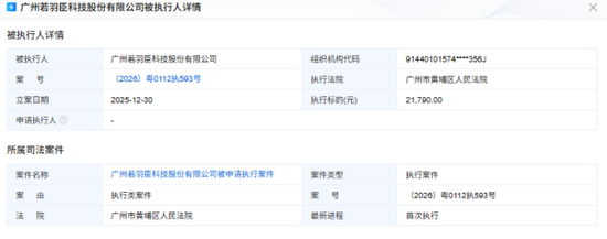 若羽臣成被执行人：猛砸销售费用驱动业绩增长，负债激增现金已难覆短债