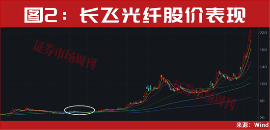 601869、600487，算力新人气龙头！股价最近一轮涨幅均超100%！