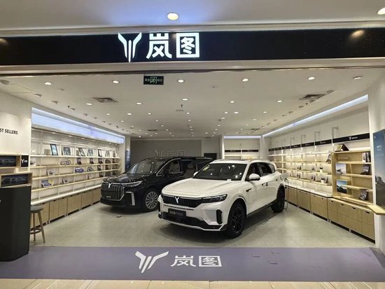 用时4个月闯完所有审批！岚图赴港上市进入最后冲刺