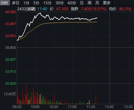 港股AI应用、存储芯片股,集体爆发!