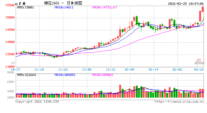 2026年值得关注的几个品种（一）
