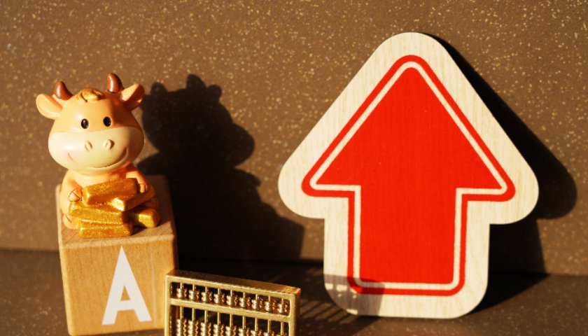 全国人大代表田轩:推动设立全国性独董协会,构建“监管与自律”双重治理体系