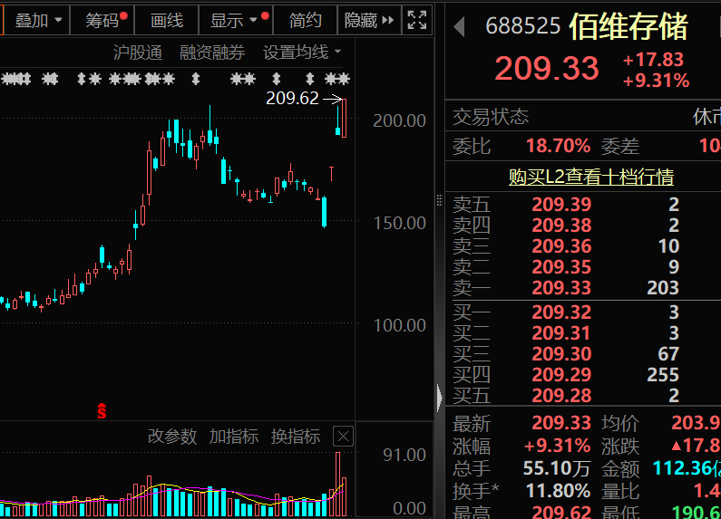 存储芯片龙头，获近12亿资金抢筹！