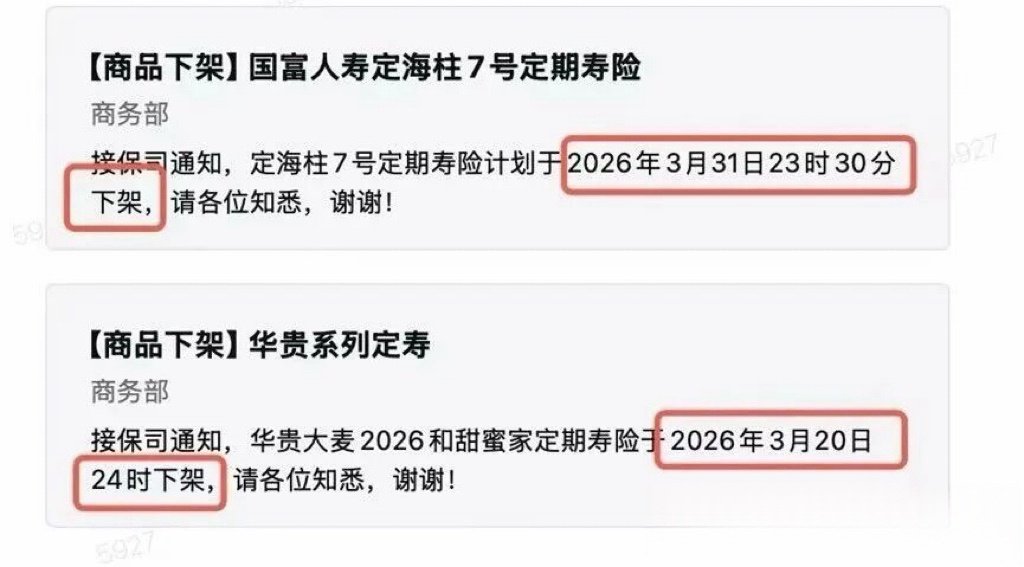 税收政策生变，高杠杆、低保费的定期寿险涨价了