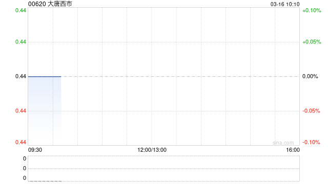 大唐西市完成配售1100万港元的可换股债券