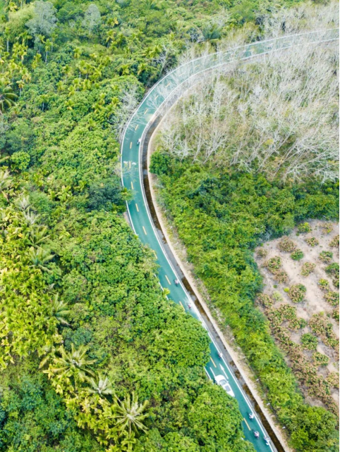 跟着余华、苏童、李光洁去骑行!《一个文学的午后》走进三亚大茅远洋生态村