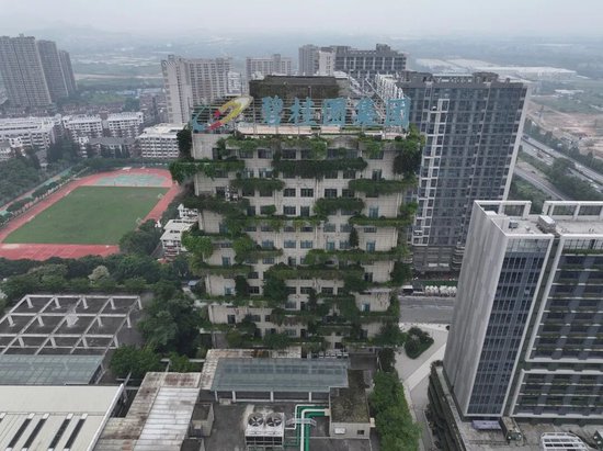 大规模召回离职员工？碧桂园回应：不是新政策，系已有制度的常规修订更新！公司曾称2026将是“最关键一年”