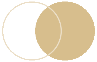 绿地集团张玉良董事长出席中国发展高层论坛2026年年会,并接受央视专访:让经济回升向好的预期更加强劲!