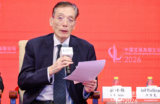 刘世锦:加快以新能源为主体的新型电力系统建设