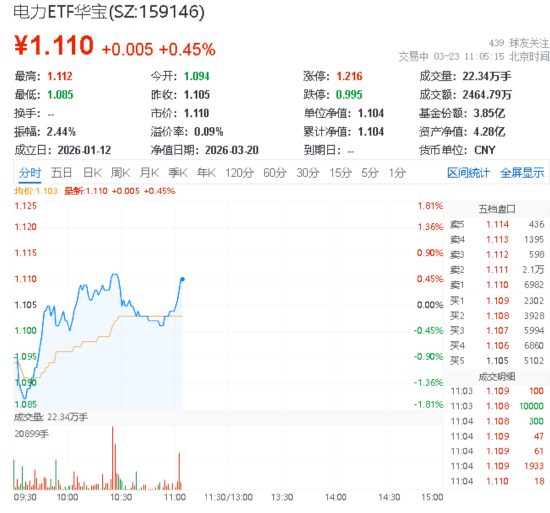 电力股逆市冲高！立新能源、浙江新能涨停！华宝基金电力ETF（159146）冲击四连阳！