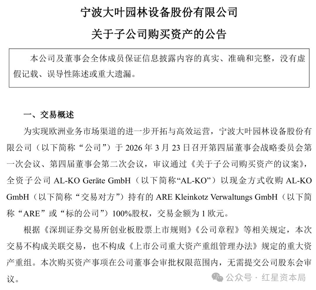 大叶股份8元钱买下净资产1800万元德国企业