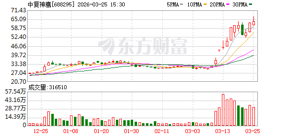 产销率超110%！中复神鹰2025年营收破21亿元，成功实现扭亏为盈