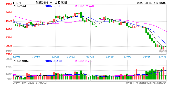 华泰期货：产能未去、消费未起 生猪市场步入磨底格局