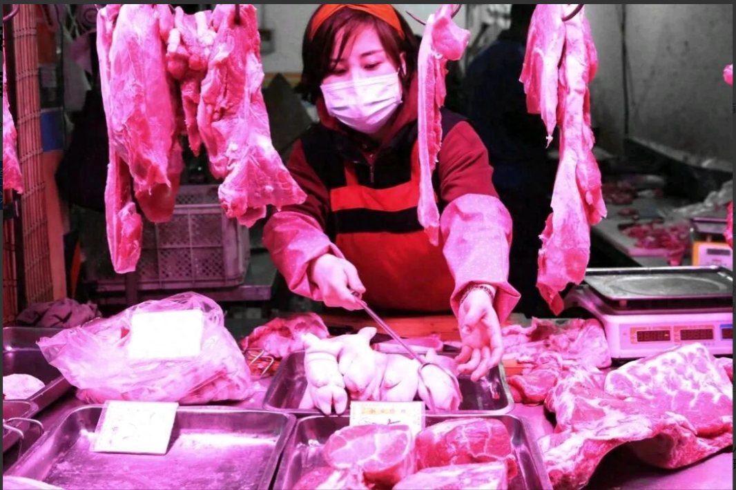 跌破10元/公斤!“猪王”牧原股份季度利润缩水九成!