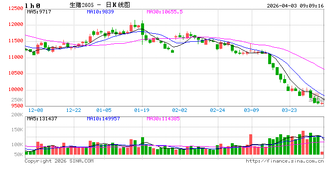 利多来袭，这个板块全线飙涨！后市怎么走？