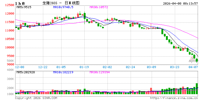 猪肉股大涨，生猪价格却不断下跌，原因是？