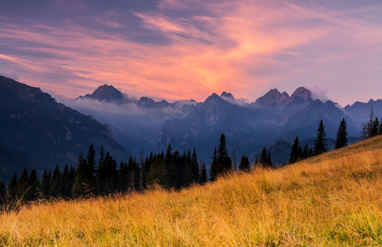 8家头部上市保司2025银保渠道大爆发？国寿趸交撑场、太保续期亮眼、人保寿期交增速领跑同业