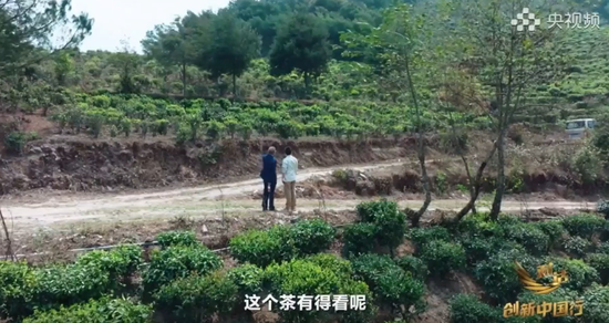 钟墅子给钟睒睒当助理，啥信号？