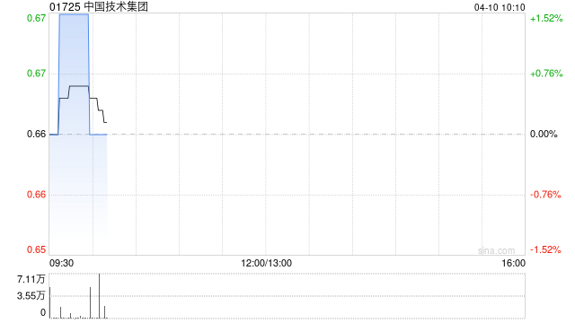 中国技术集团完成配售合共5341万股配售股份